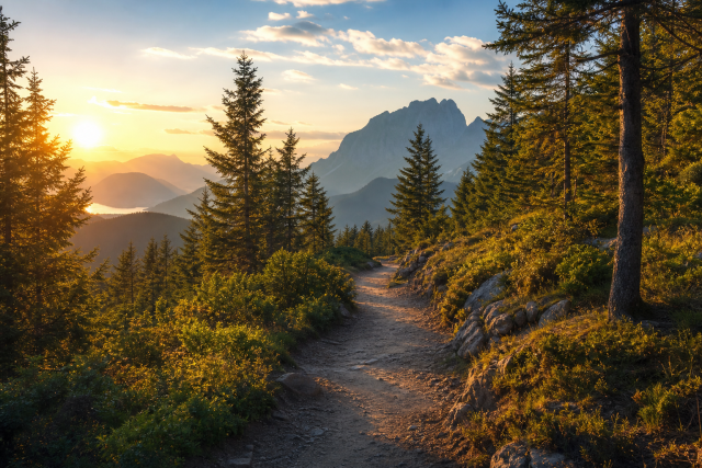 Ein goldener Waldpfad führt am späten Nachmittag in Richtung ruhiger Berglandschaft.